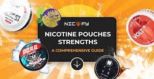 Berry Nicotine Pouches: A Sweet and Satisfying Alternative